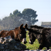 Dsc00376_card