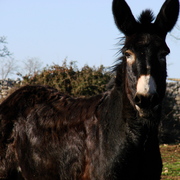 Dsc00380_card