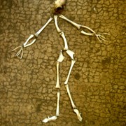 214-homo020_card