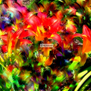 Flower7_card