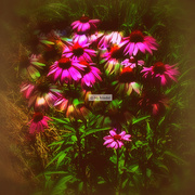 Flower6_card