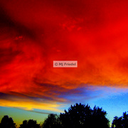 Sky_1_card