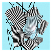 Line_5_card