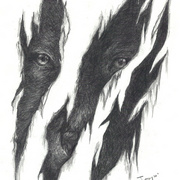 Wilderness_resized__2__card