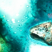 Stone_suspended_card