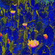 Spaseroses_card