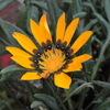Dsc01325_thumb