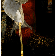 The_last_act_ends_card