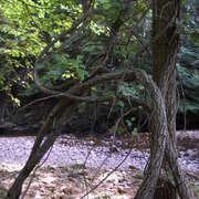 Dscn2564_card