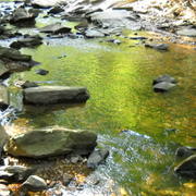 Dscn2570_card