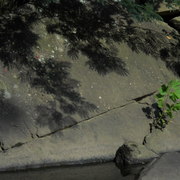 Dscn2574_card