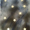 Starsatmidnight_thumb