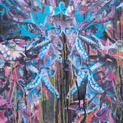 Dscf5829_card