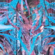 Dscf5840_card