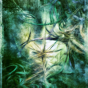 Web_card