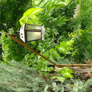 Imgp3750_card