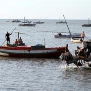 Img_1400__small__card