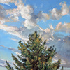 Evergreen01email_thumb