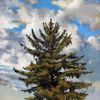 Evergreen02email_thumb