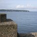 N585686517_858221_8923_square