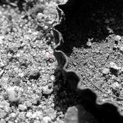 Things-in-the-sand-_part-1__card