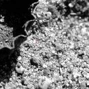 Things-in-the-sand-_part-2__card