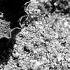 Things-in-the-sand-_part-2__thumb