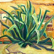 Agave_card