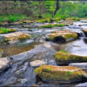 River-derwent-12_card