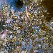 02072011016_card