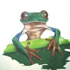 Ffrog_thumb