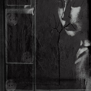 Szary_dzien_-2_card
