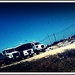 Photo0798_square