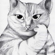 Cat1_card