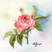 Img420_card