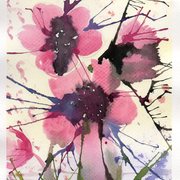 Img376_card