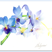 Ory1_card