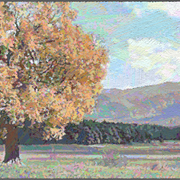 Landscapes-23955_card