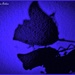 Photo0841_square