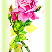 Ryyy_card