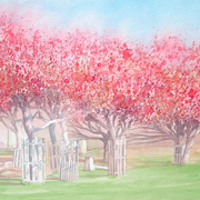 Richmond-park-in-blossom_card