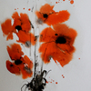 Poppies_thumb
