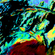 The_world2_card
