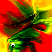 Fish2_card
