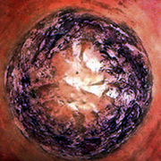 Mandala_coronodo_copy_card