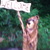 Artbears_072_tiny_square