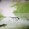 Acuarela-5_7__thumb
