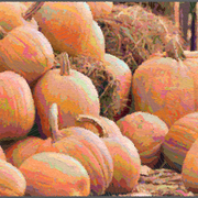 Pumpkins-02735_card