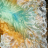 Lace_1_thumb