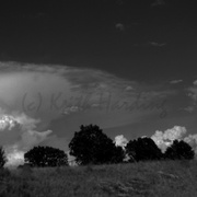 Img_2375_tint10x20_card